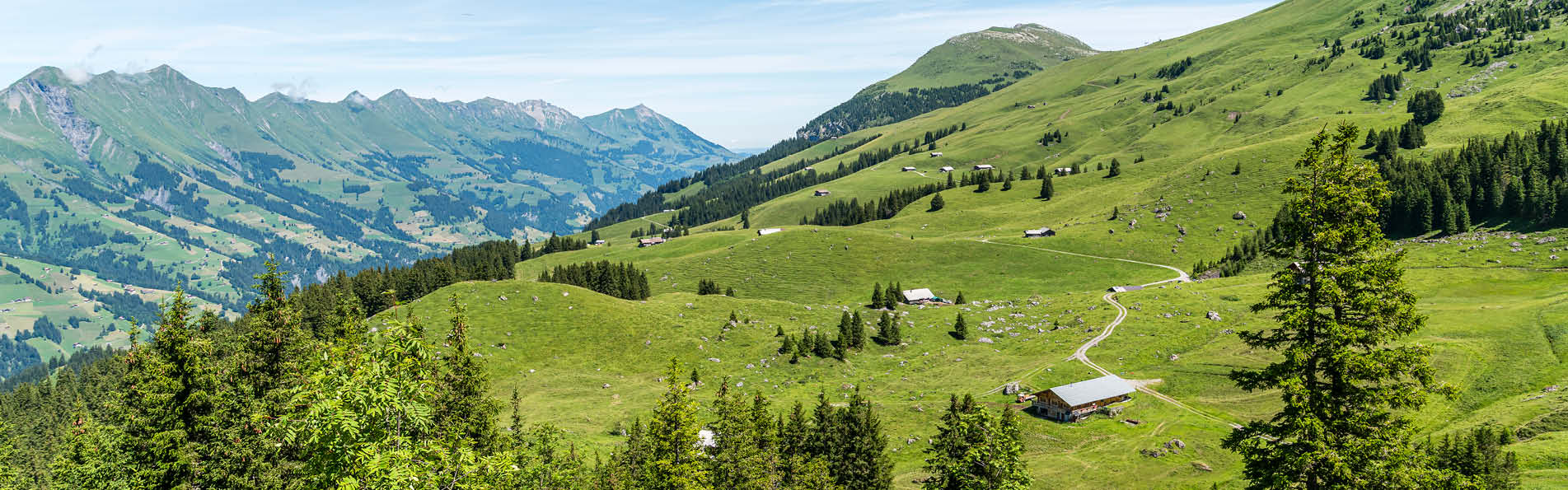 Alpenpanorama Berner Oberland