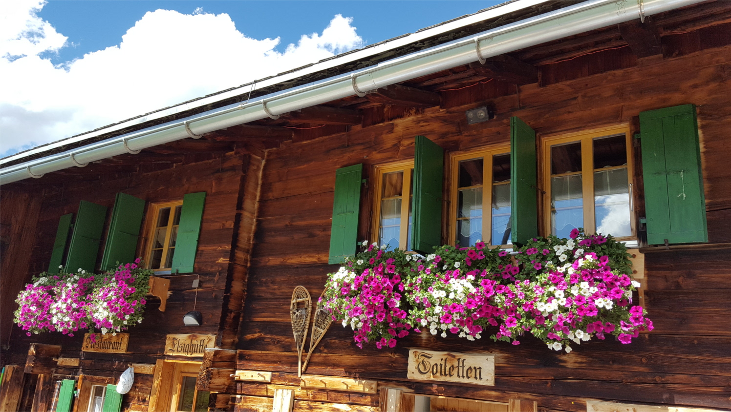 Elsighütte 4