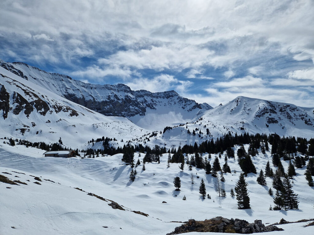 Schneeschuhtrail Elsigen