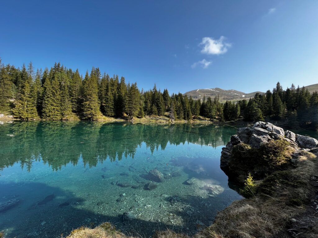 Elsigsee Frühling15